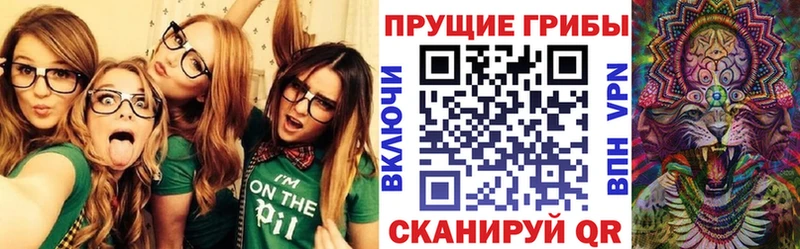 Галлюциногенные грибы MAGIC MUSHROOMS  Лакинск 